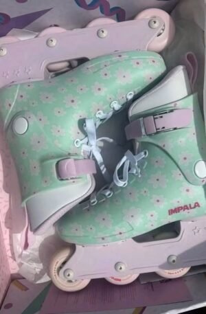 rollers skates shoe pallet